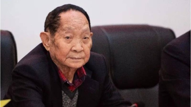 雜交水稻育種專家袁隆平。（圖片來源：網路）