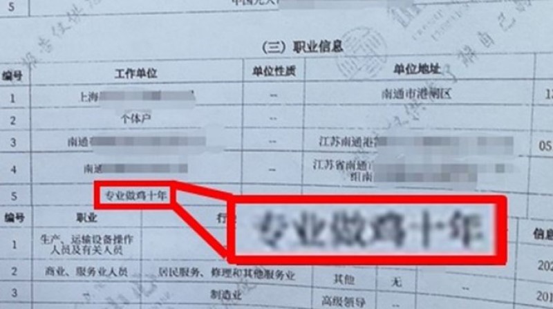 女子征信报告现侮辱字眼，职业被写“专业做鸡十年”