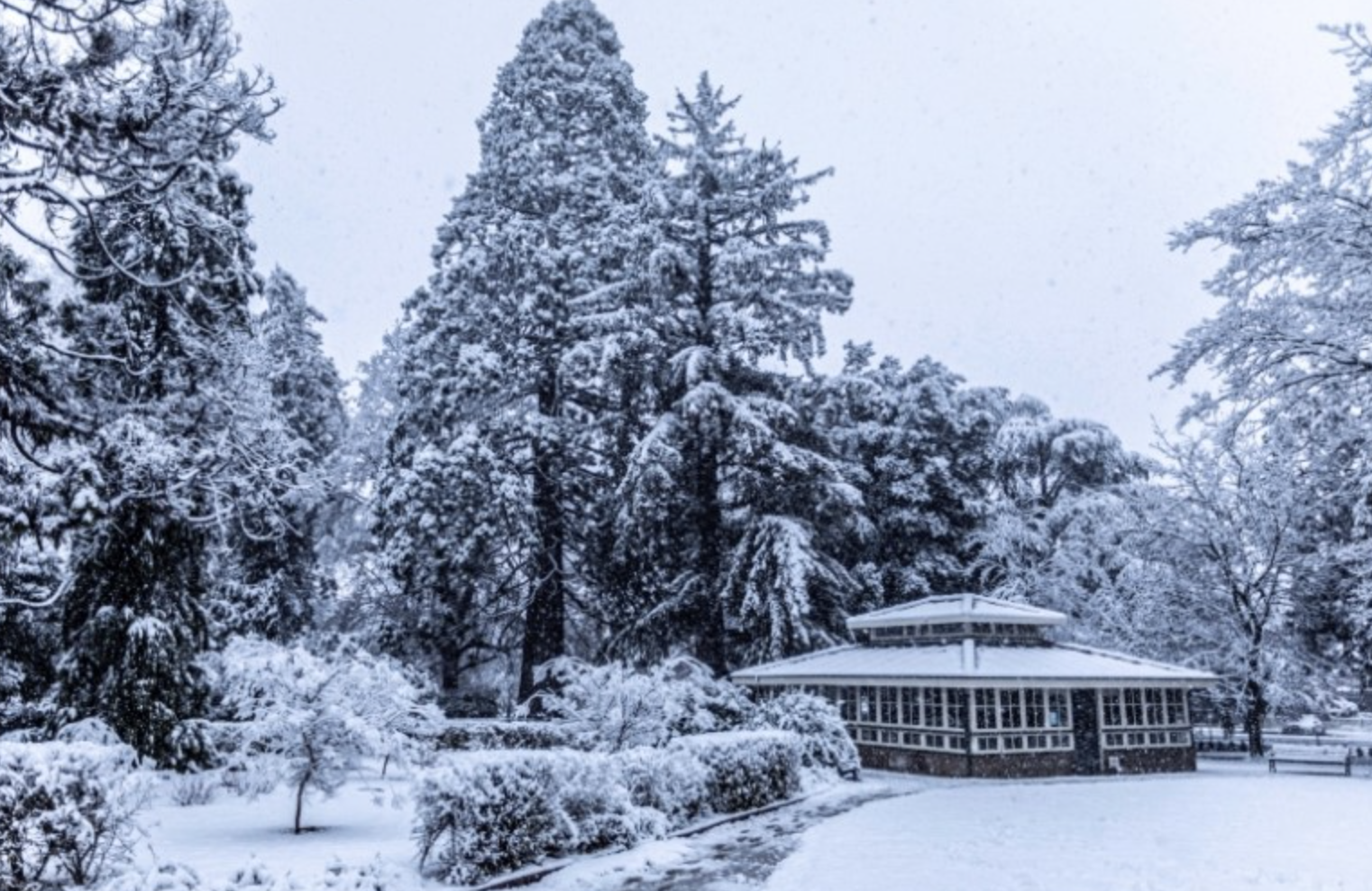 澳洲天气，降雪，冬天
