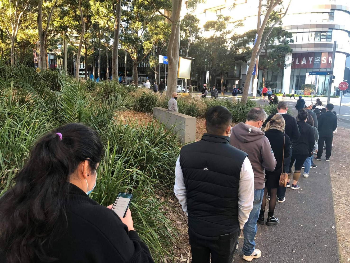 澳洲疫情 排队 打疫苗