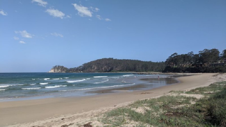 新州南部海岸，海滩