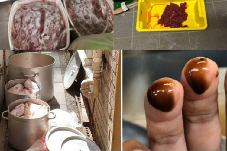 新州因违反食品安全和卫生标准挨罚的食品业者数量创纪录