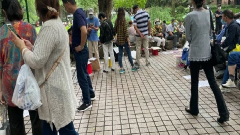 为多生孩子 上海官方推三速相亲 被骂配种式征婚