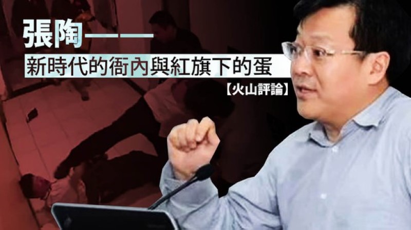 张陶