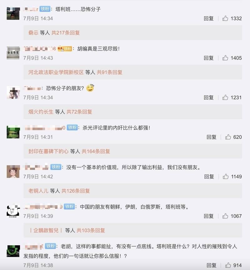 网友在胡锡进微博下的截图