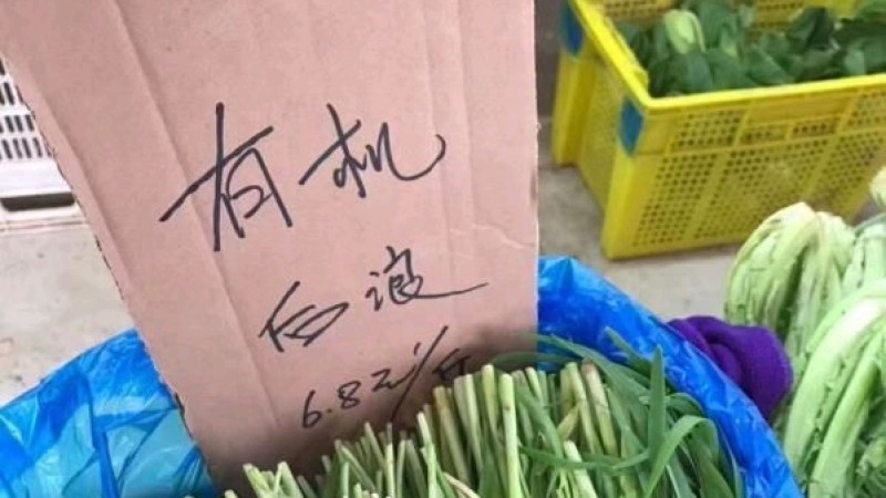 中国年轻人自嘲是有机后浪
