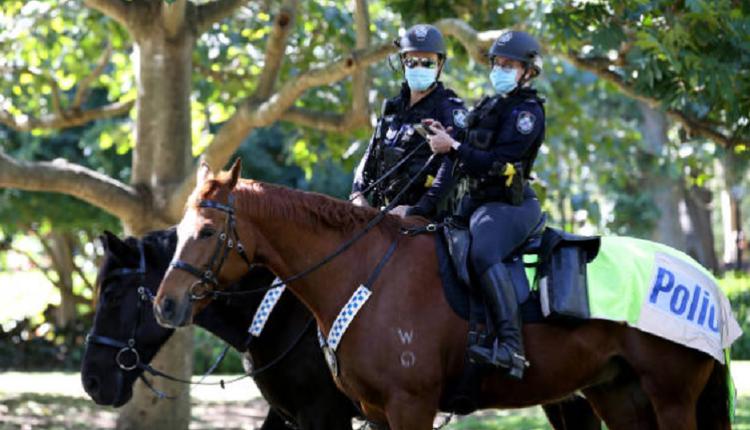 昆州警察，澳洲警察，骑警，马