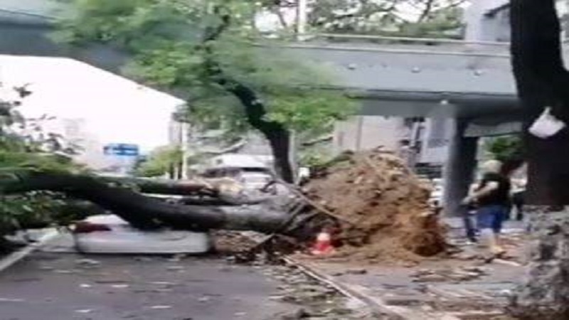 卢碧台风再次避开台湾 登陆中国 两广福建暴雨淹水