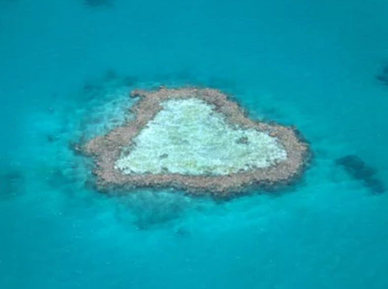心形珊瑚礁（Heart Reef）