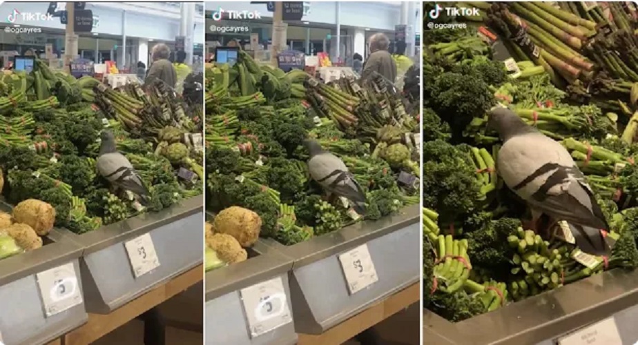 西蘭花