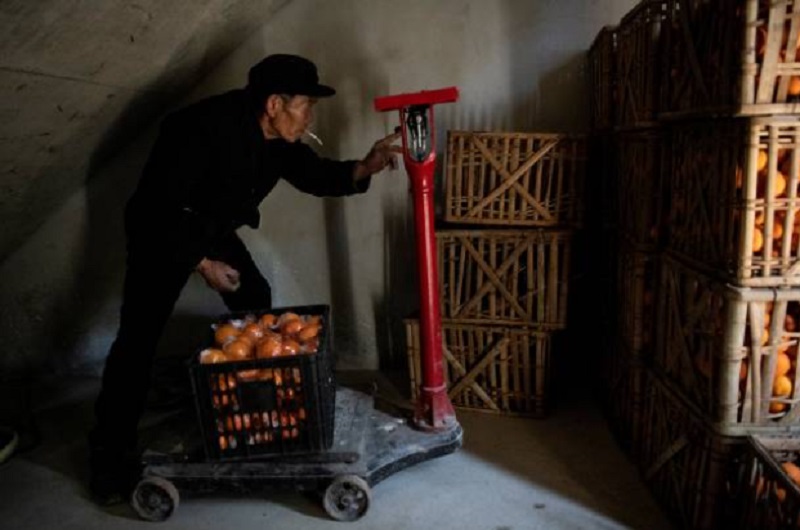 中国的农民