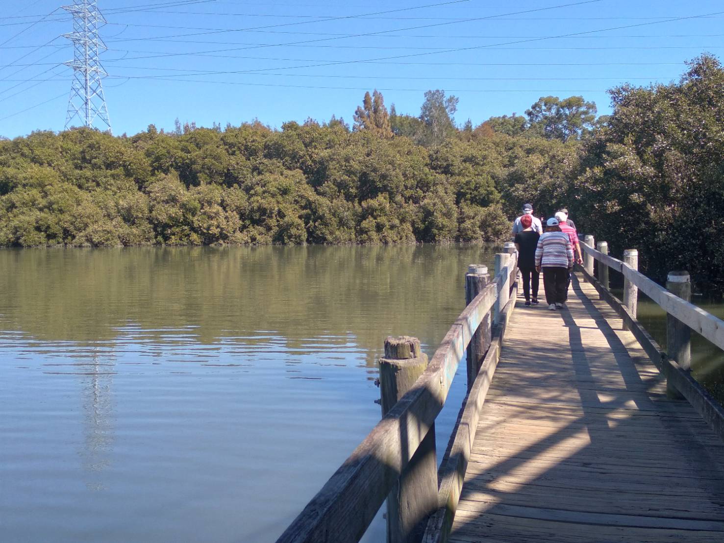 Salt Pan Creek Padstow 休閑 運動 散步 自行車 划船 小橋