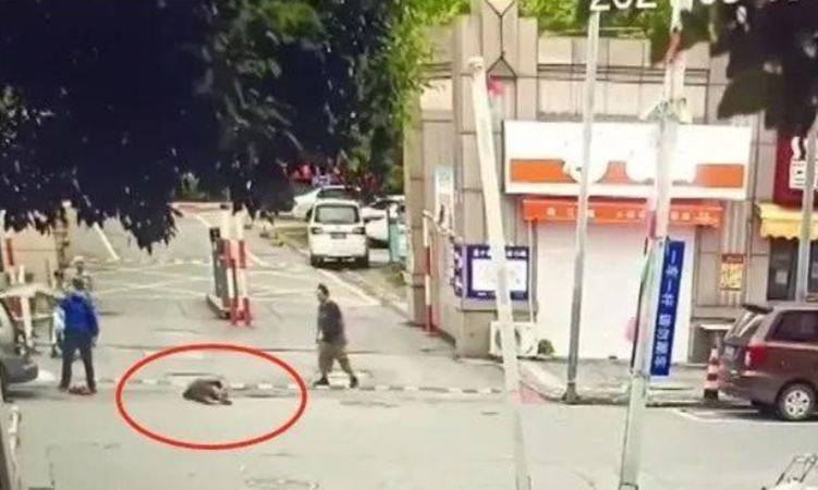 协管员粗暴执法