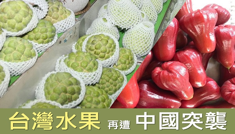 番荔枝莲雾