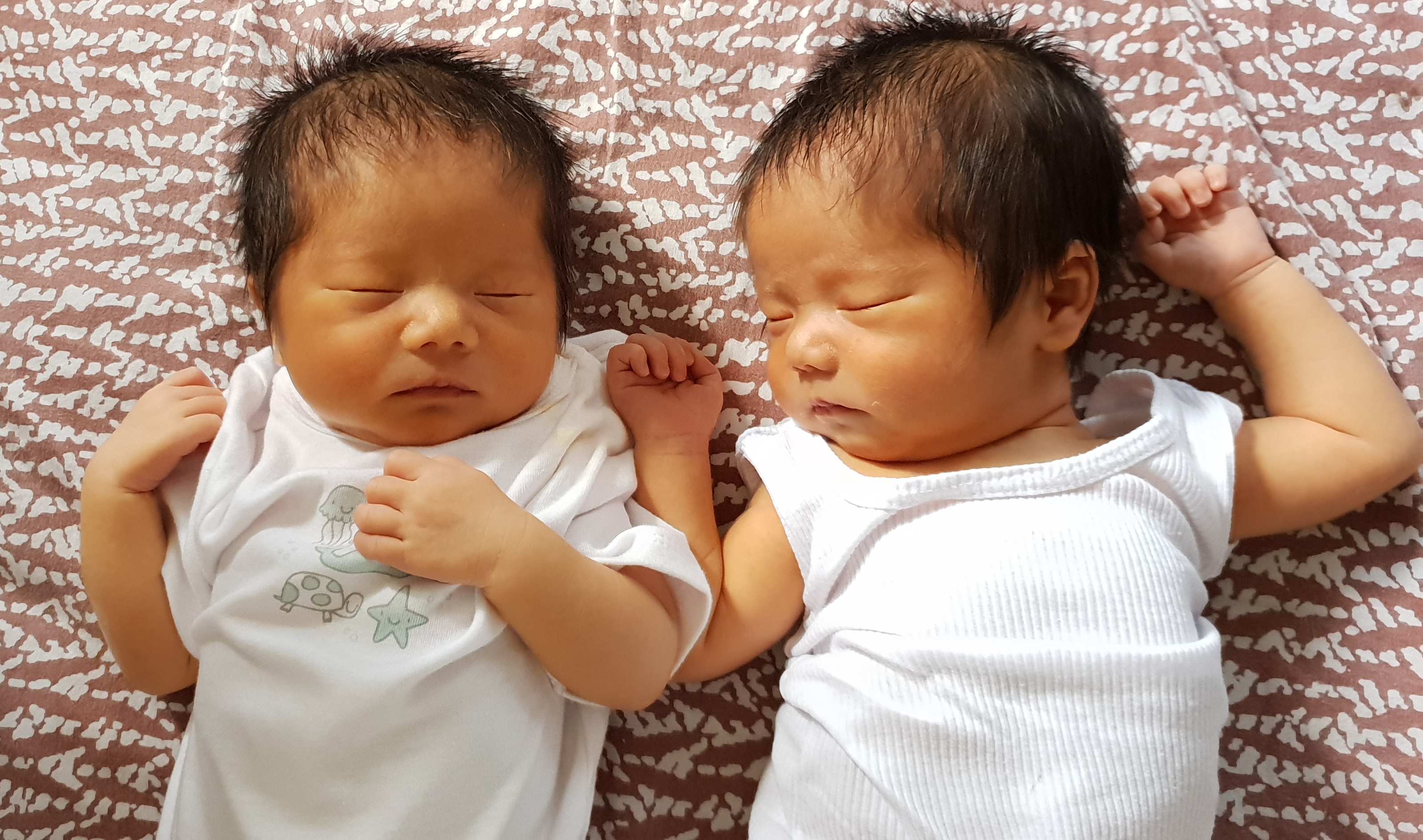 儿童 孩子 小孩 婴儿 双胞胎