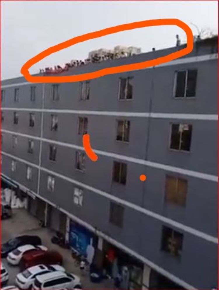 一群人在楼顶