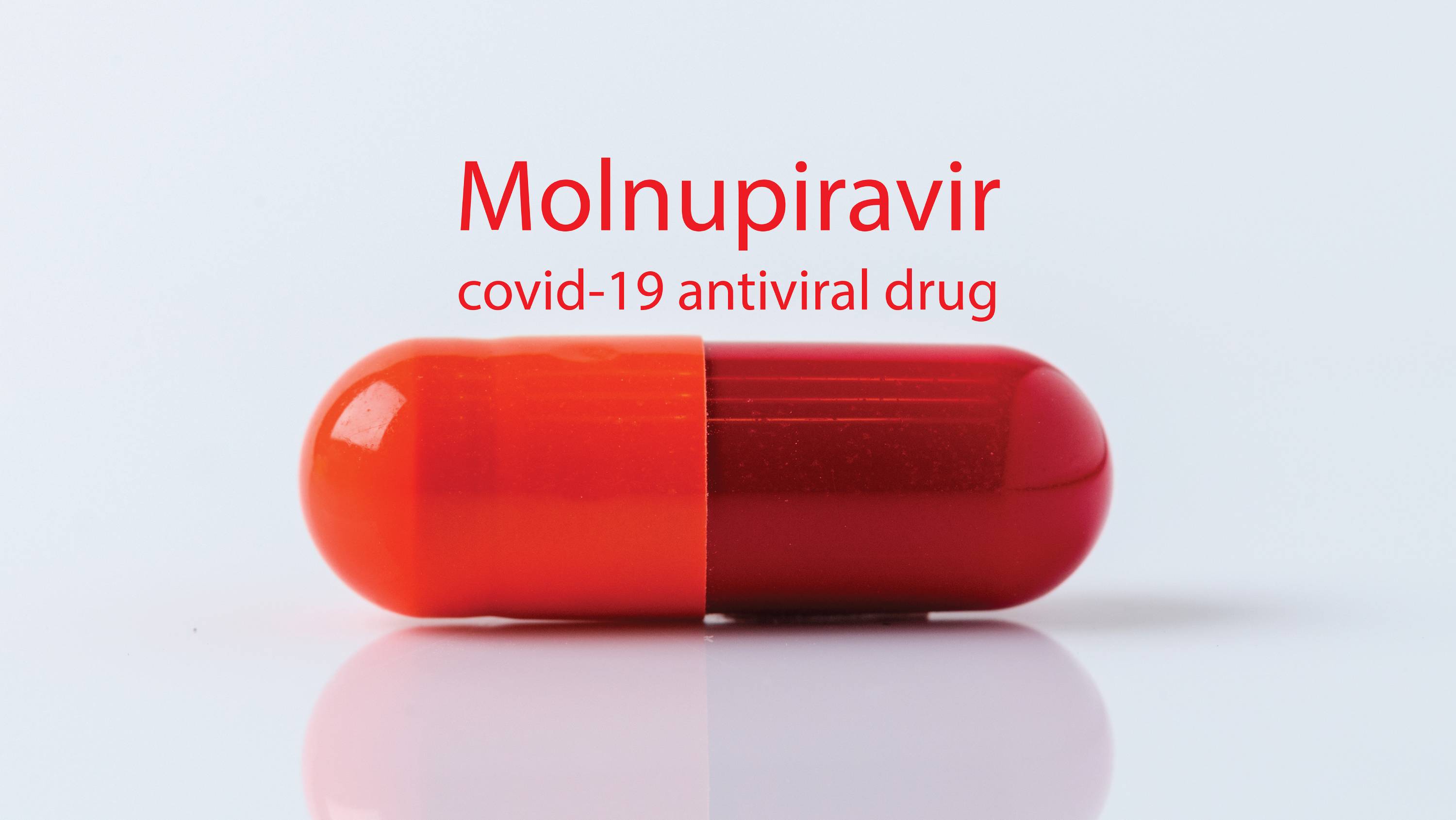 Molnupiravir