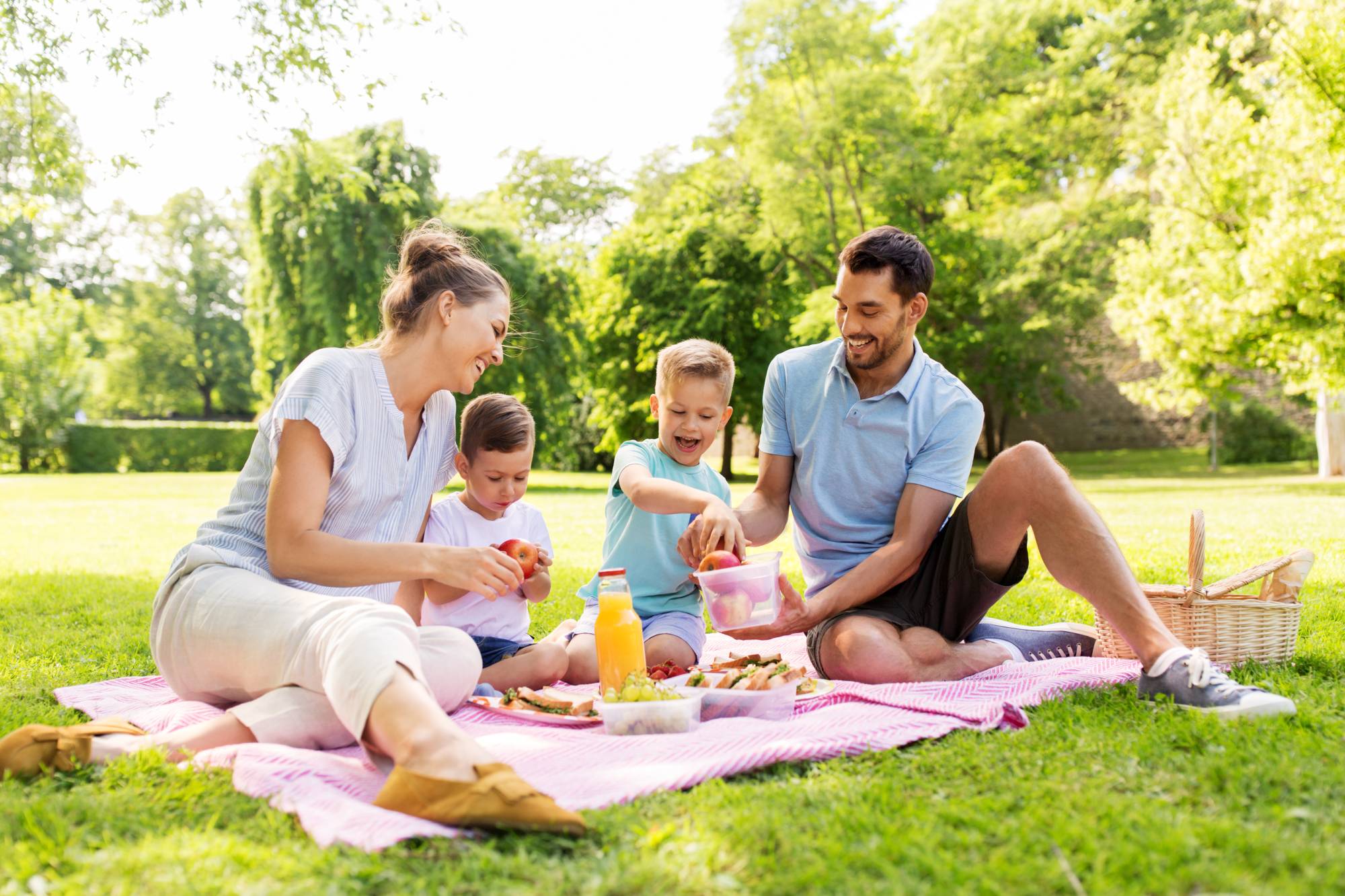 picnic