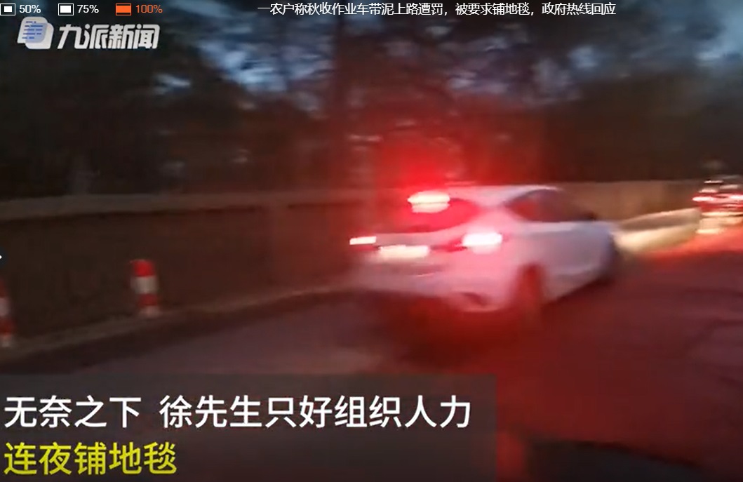 收玉米要铺红地毯