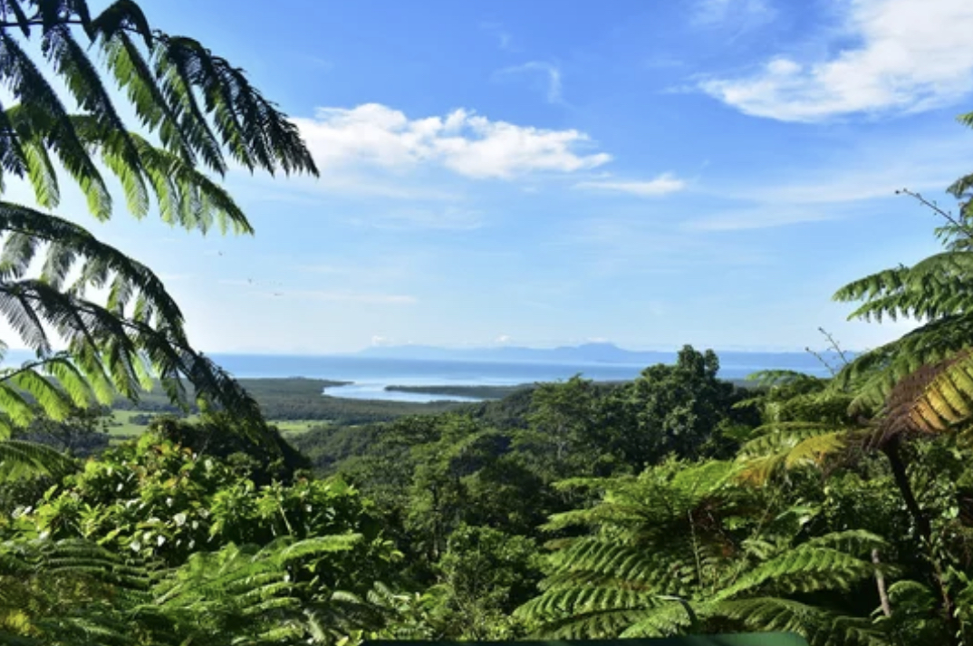 Daintree Rainforest