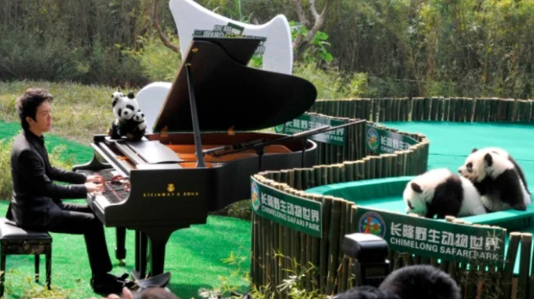 李云迪