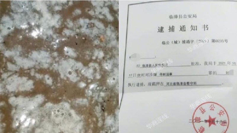 河北5名家長參與反映學校食堂衛生問題 被刑拘
