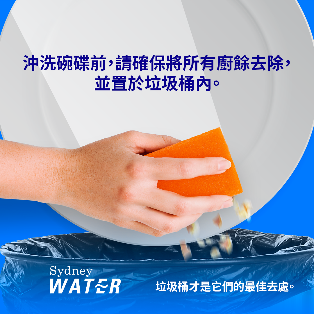 垃圾桶才是它们的最佳去处
