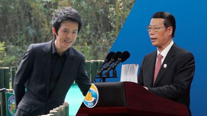 李云迪和张高丽