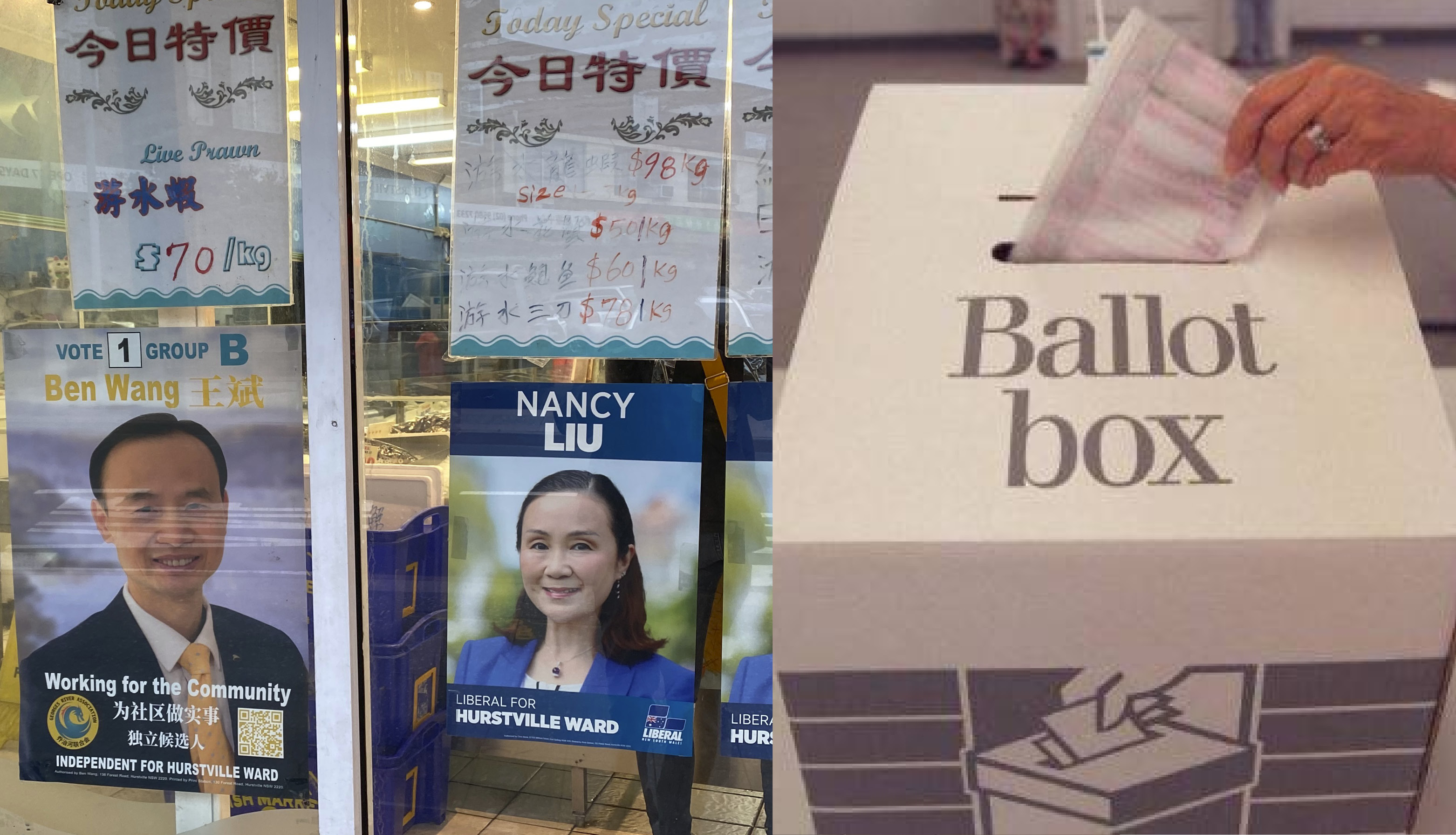 地方政府选举