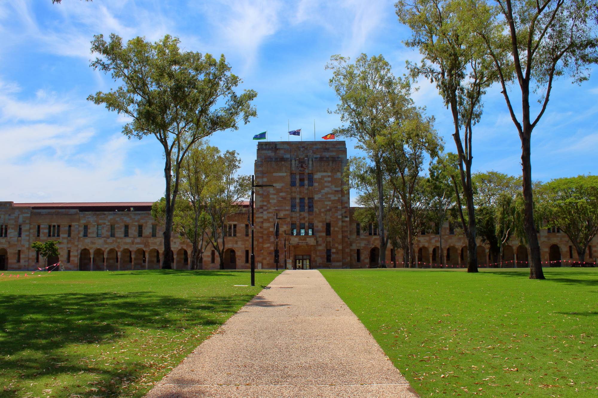 大学