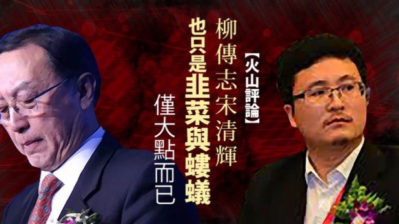 柳传志与宋清辉