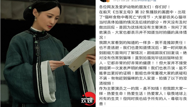 《当家主母》杀猫事件持续发酵 剧组称已报案
