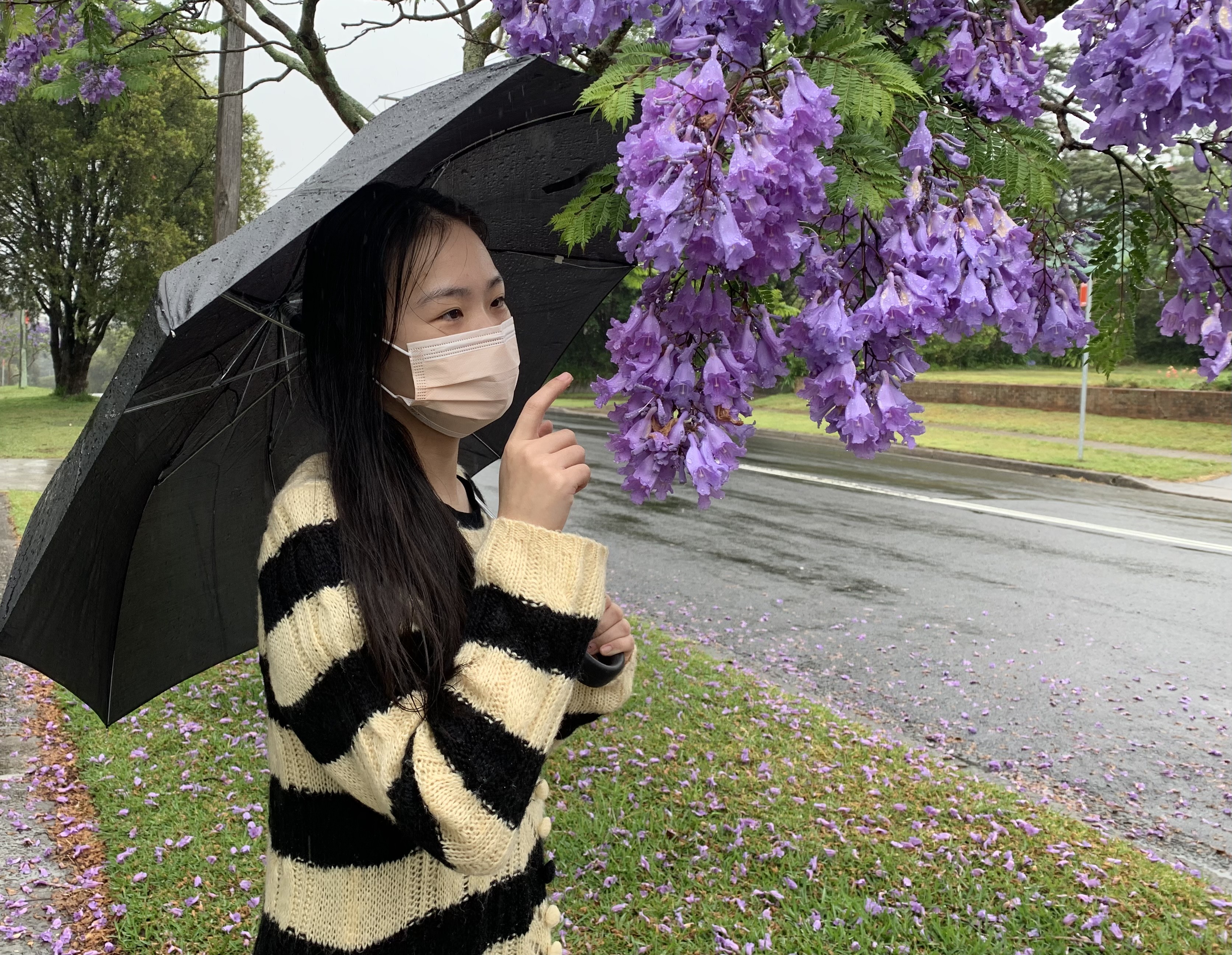 女孩 女士 学生 口罩 澳洲疫情 兰花盈