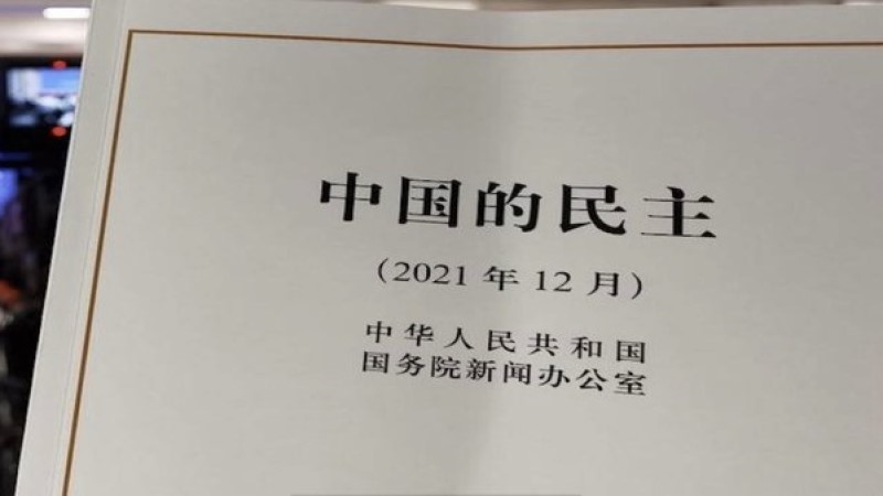 中国发表《中国的民主》白皮书 尴尬与讽刺不断