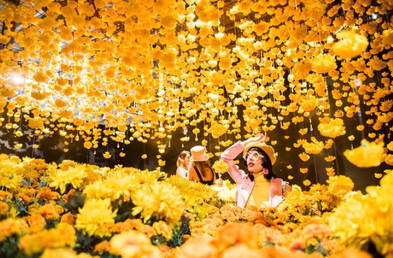 图/Happy Place
