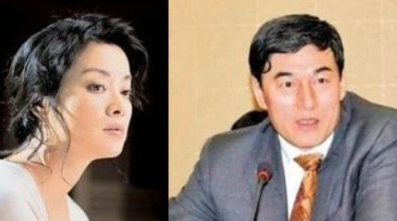 毛阿敏，解直锟