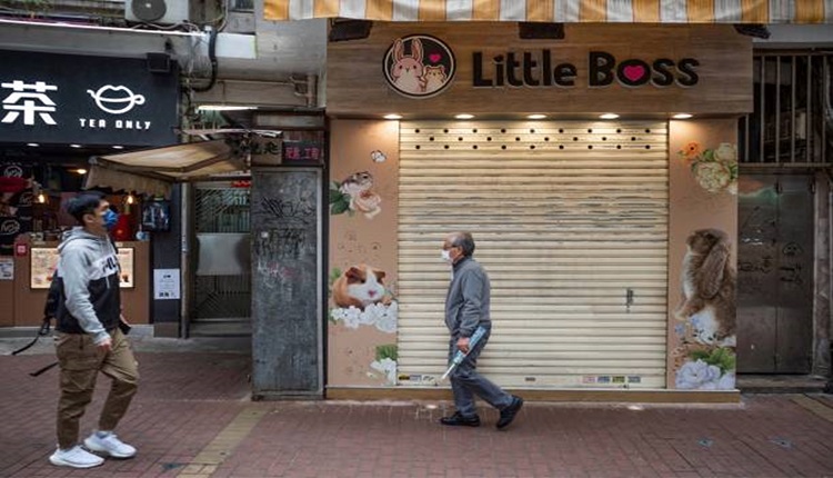 Little Boss宠物店