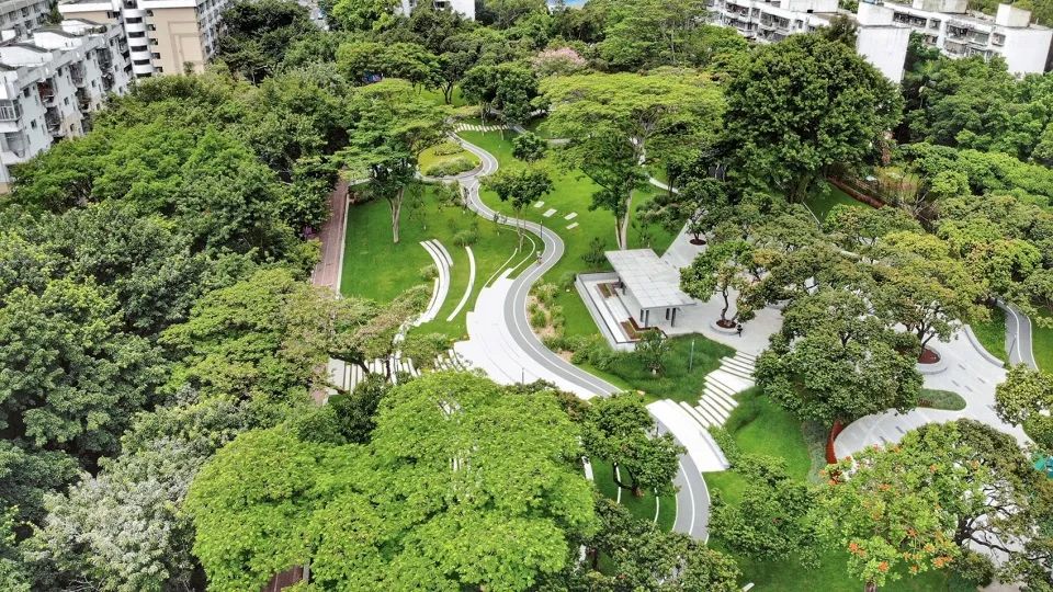文科园林，园艺，上市园艺公司