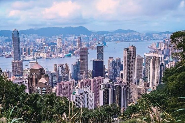 香港楼市，香港房地产