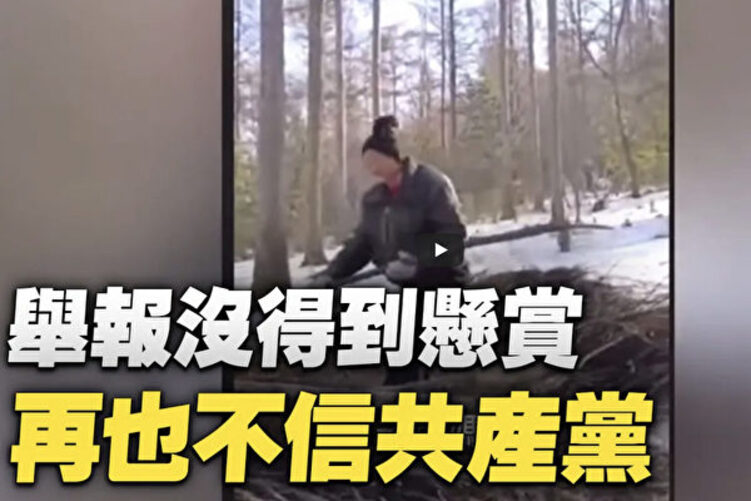 朱贤健