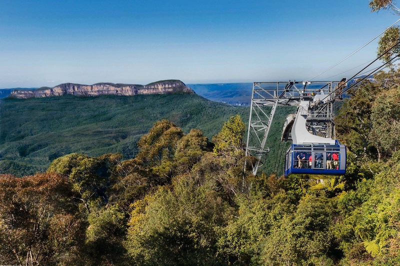 Scenic Cableway