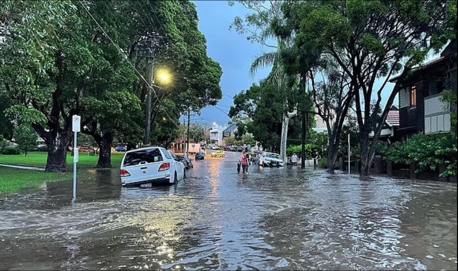 新州洪水，悉尼洪水