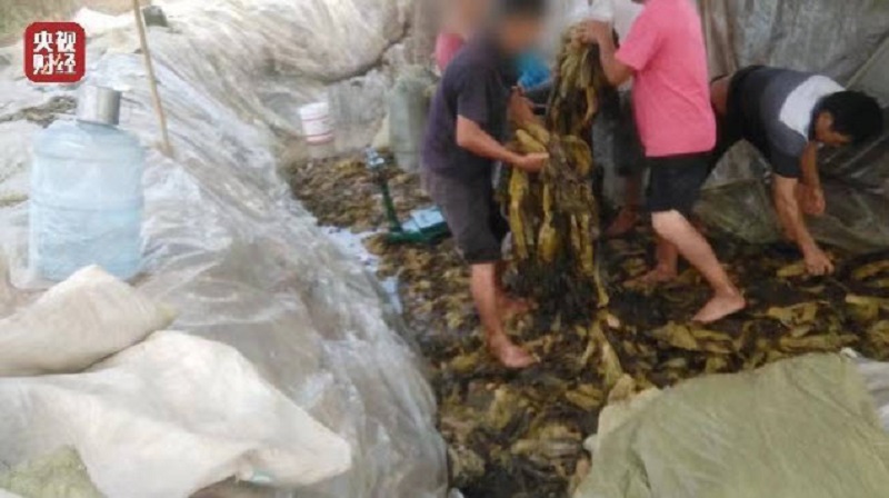 中国黑心“土坑酸菜”曝光 涉统一康师傅品牌泡面