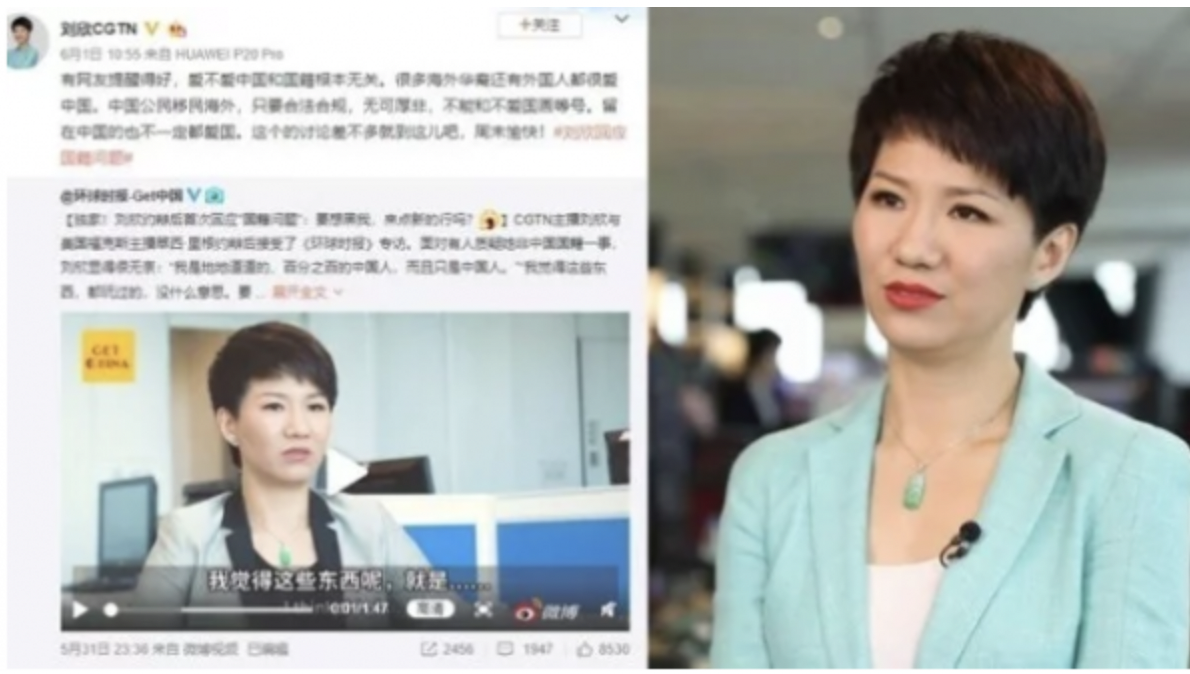 CGTN女主播劉欣