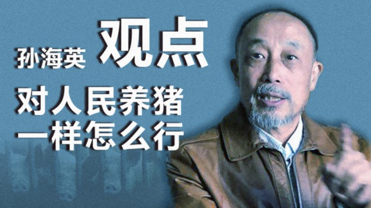 孙海英