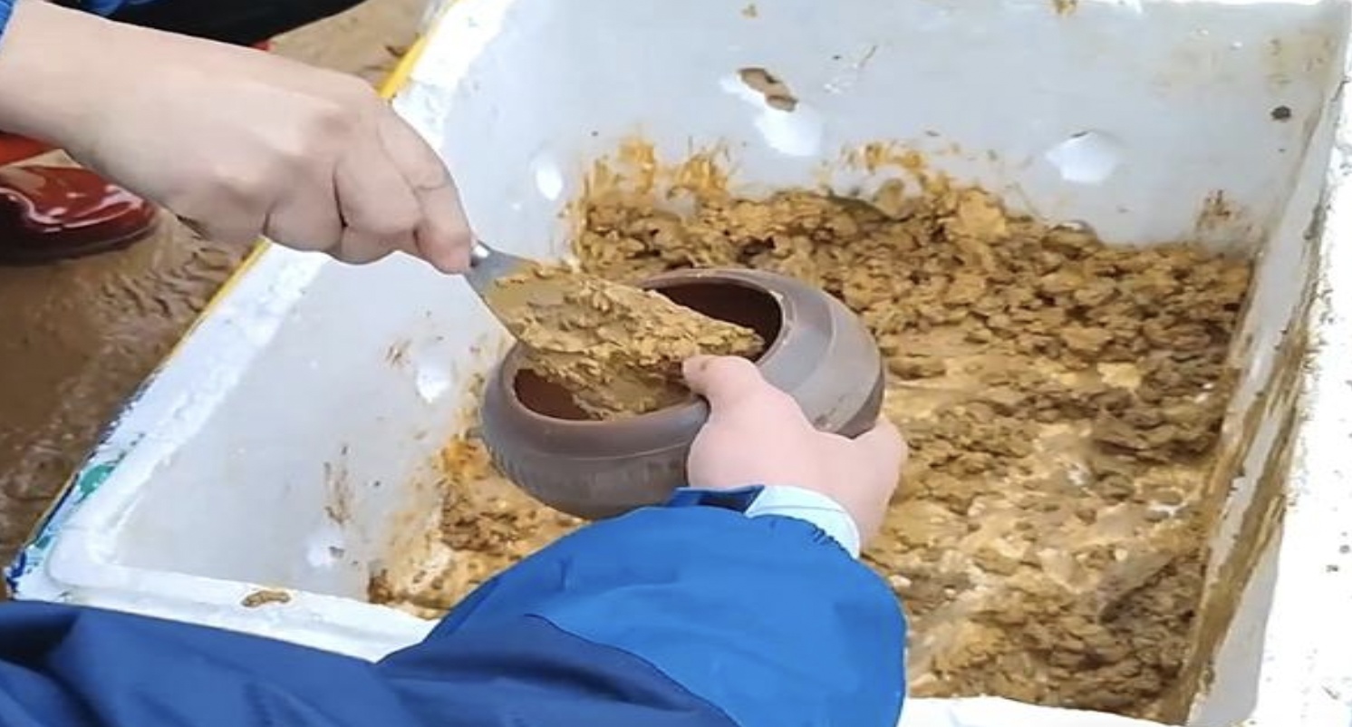 网络图片