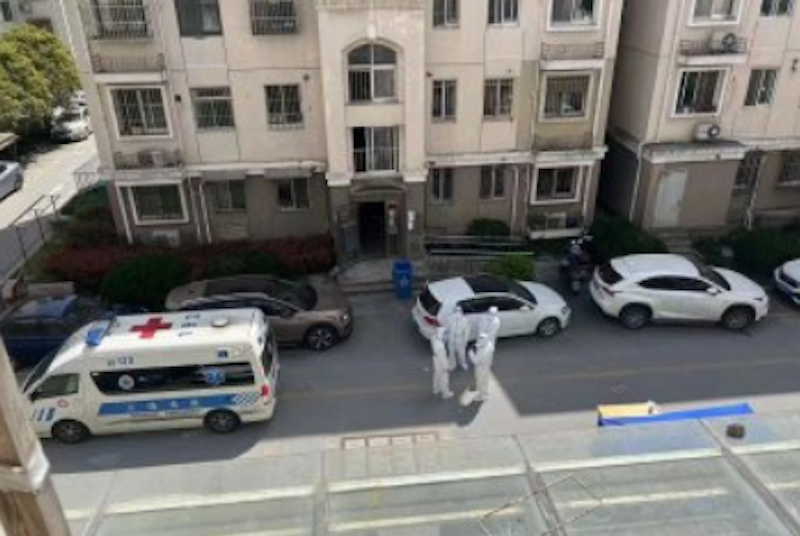 网络图片