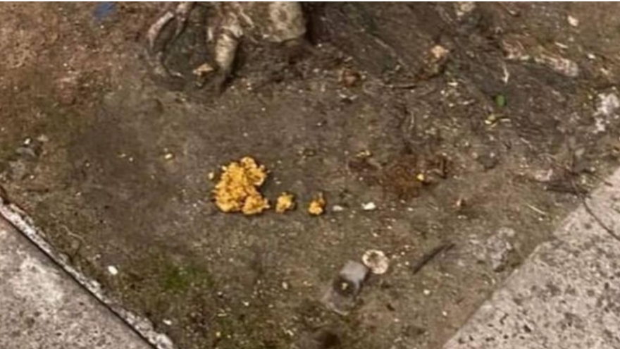 毒诱饵