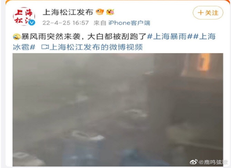 上海突遇雷雨冰雹袭击 白昼暗如黑夜似灾难片