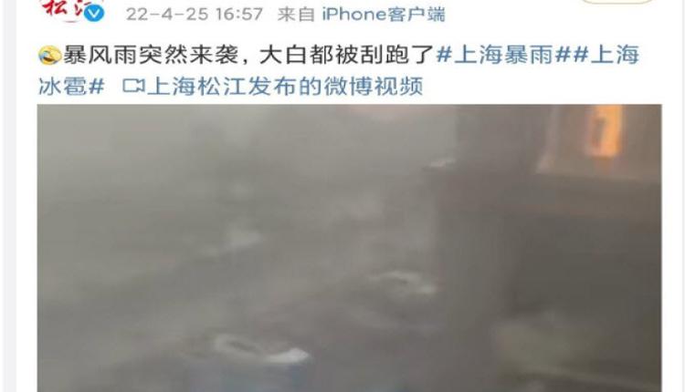 上海突遇雷雨冰雹袭击 白昼暗如黑夜似灾难片